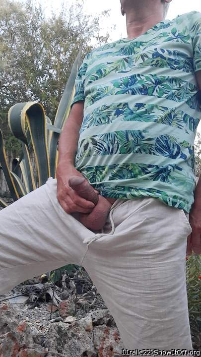 Photo of a cock from 11ralle22