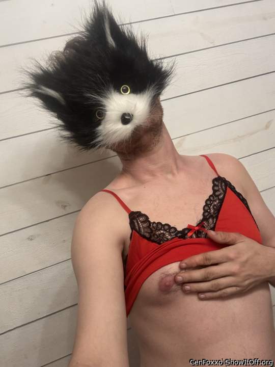 Adult image from CenFoxxo