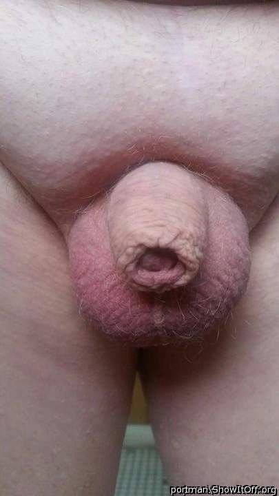 Little hairless