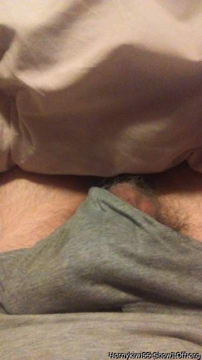 Photo of a bat from Hornykiwi55