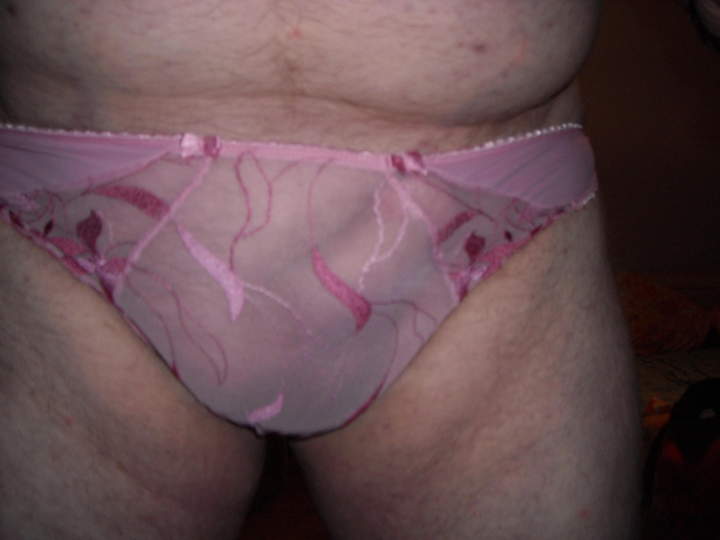 Photo of a cock from fronve