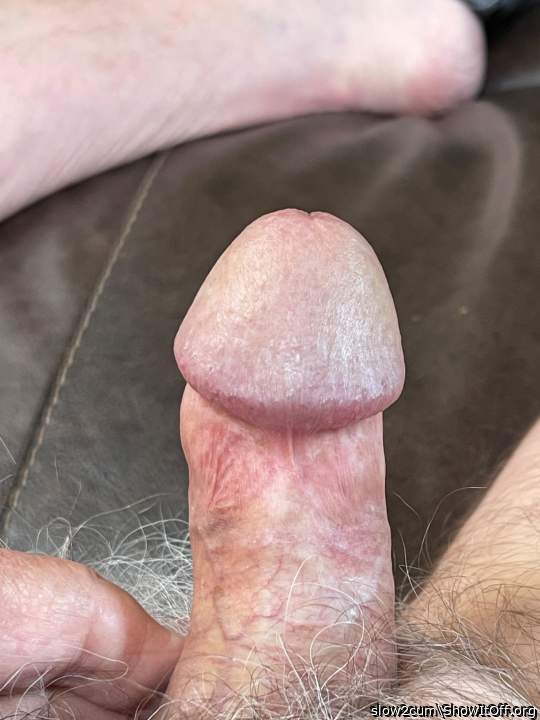 Photo of a rooster from slow2cum