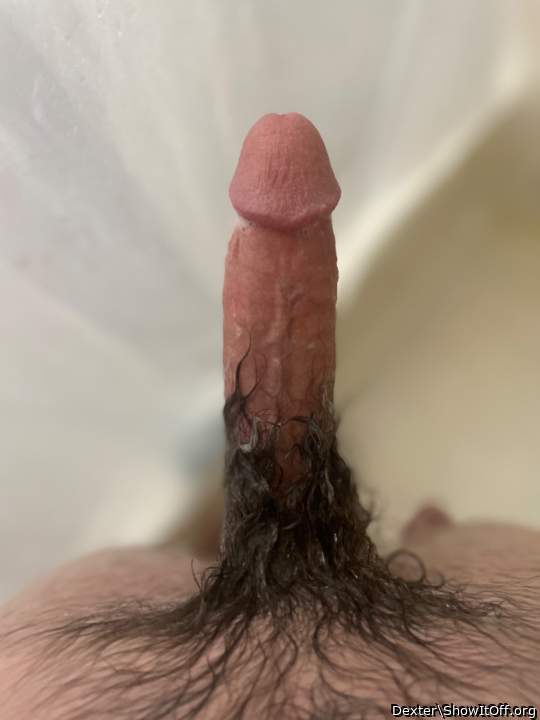 Super Hairy Wet Shower Dick