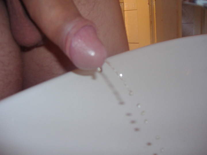 Adult image from stecher