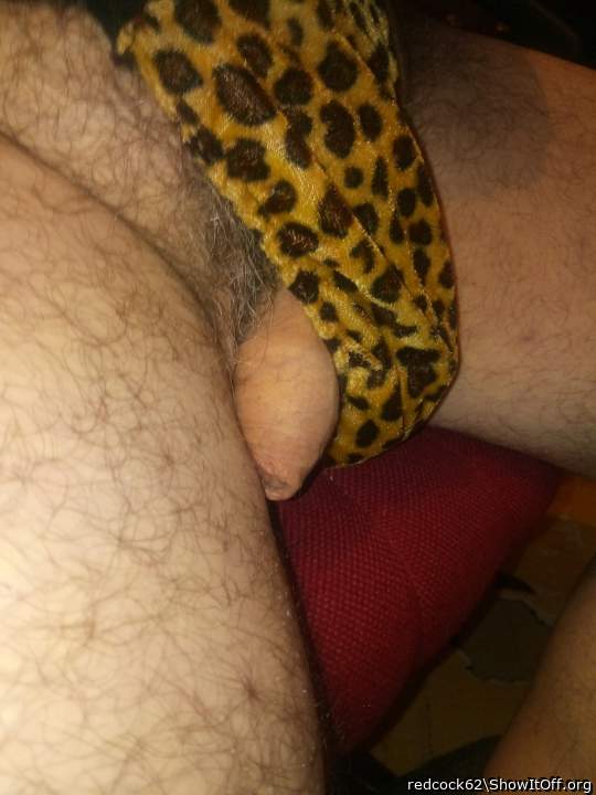 Photo of a boner from redcock62