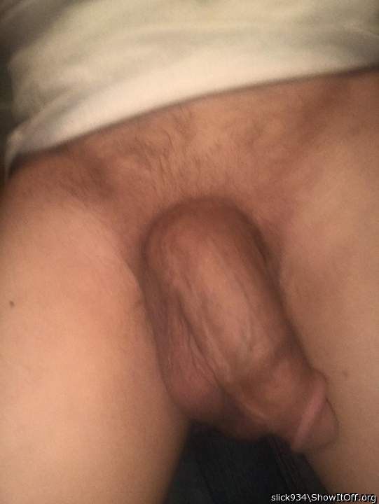 Photo of a cavalier from Slick934