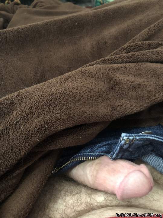 Photo of a third leg from BriD428