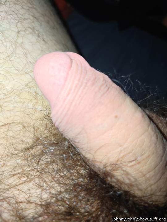 Photo of a python from JohnnyJohn