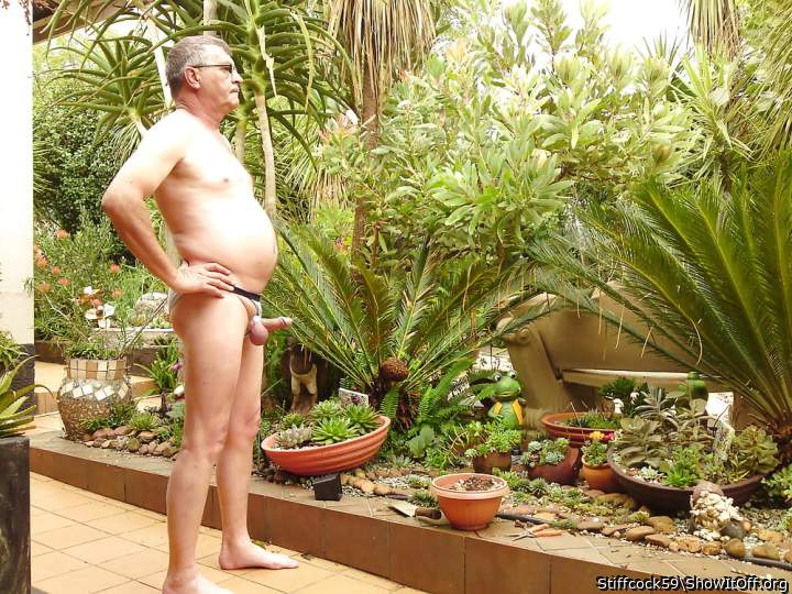 Great view on your garden   