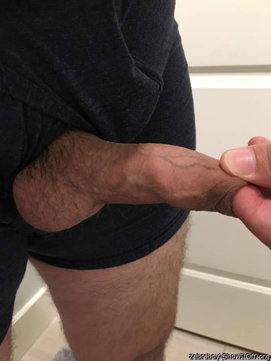 Photo of a short leg from zebraboy