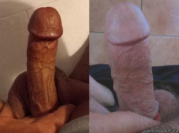 Two cocks