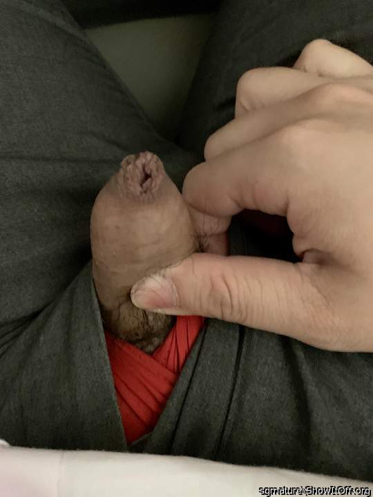 Photo of a wiener from sgmature
