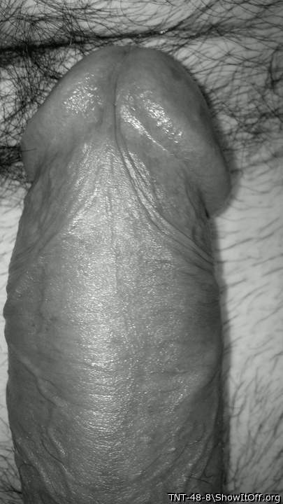 Photo of a bat from TNT-48-8