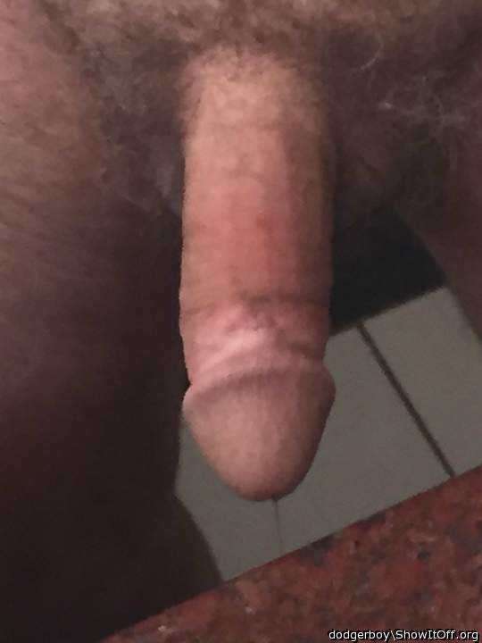 lunch is served gentlemen!