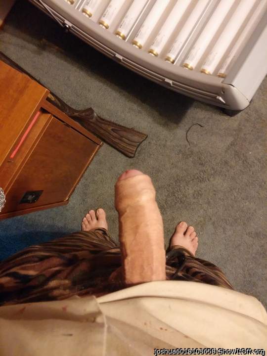 Photo of a weasel from joshua6018103658
