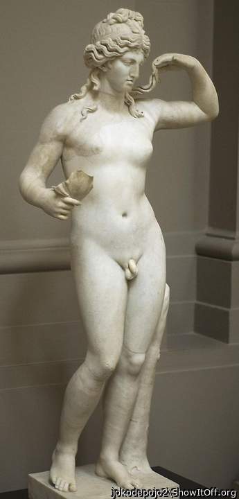 hermaphroditus