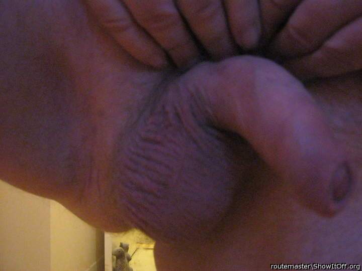 Photo of a sausage from routemaster