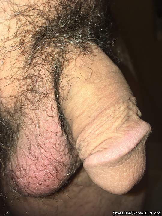 Photo of a snake from jimes104