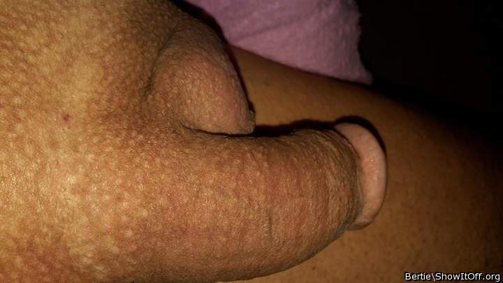 Photo of a schlong from Bertie