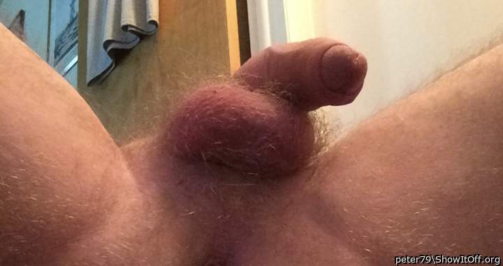Photo of a penile from peter79