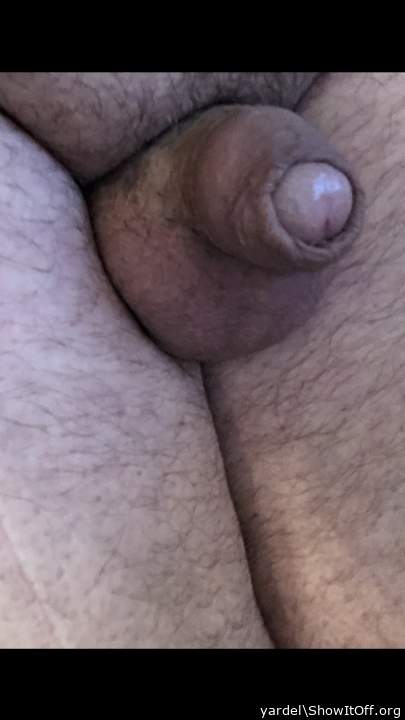 Photo of a tool from yardel