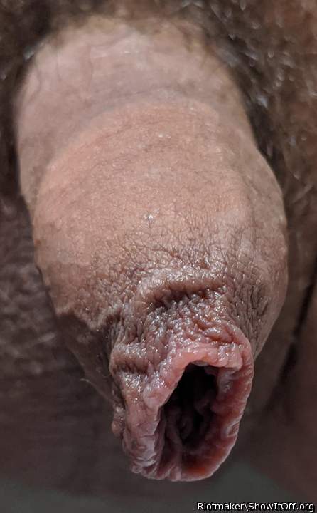 Wonderful foreskin 