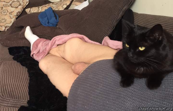 My pussy cat and me