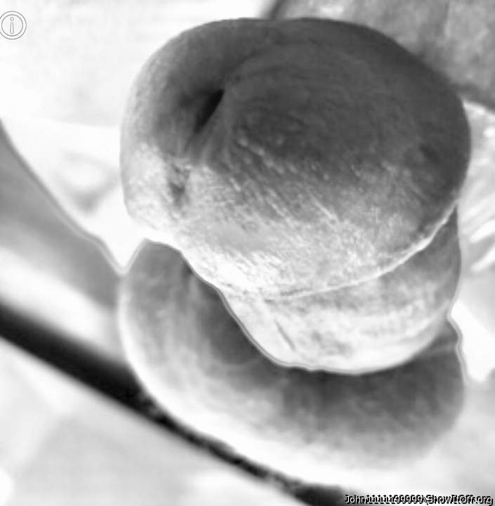 Photo of a middle leg from John1111199999