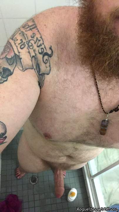 Photo of a snake from Rogue