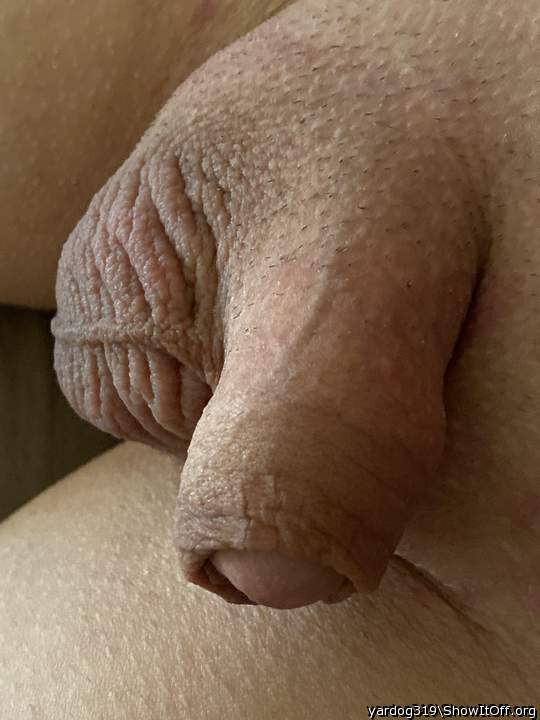 Photo of a boner from yardog319