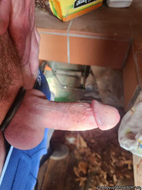 Photo of a thing from Cowboyup