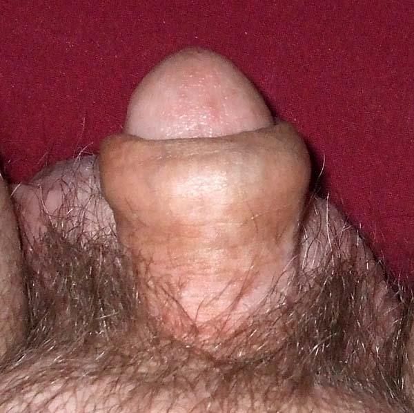 Photo of a equipment from billycat