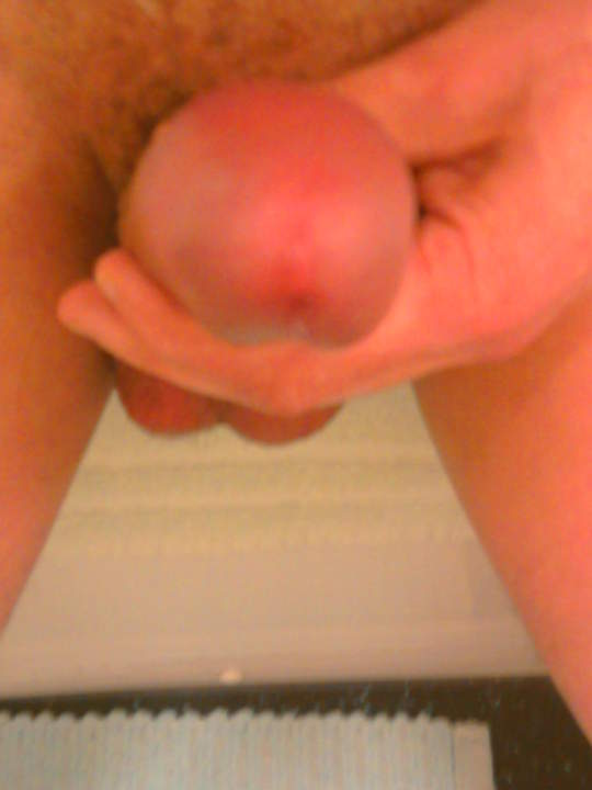 Photo of a dong from newbie23