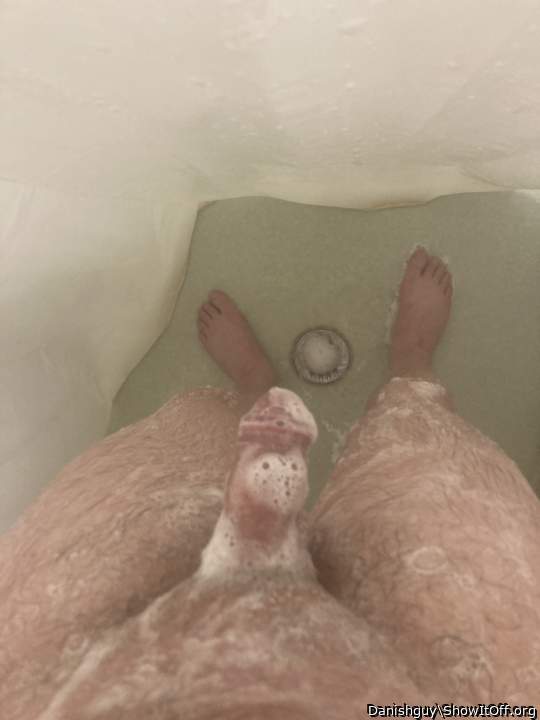 Photo of a weasel from Danishguy