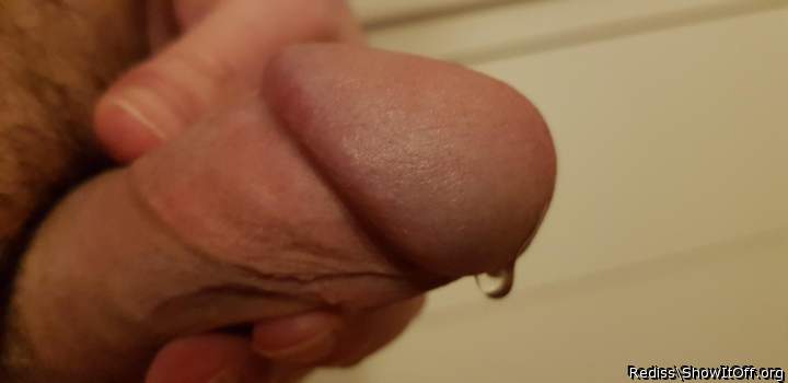 Photo of a lizard from Rediss