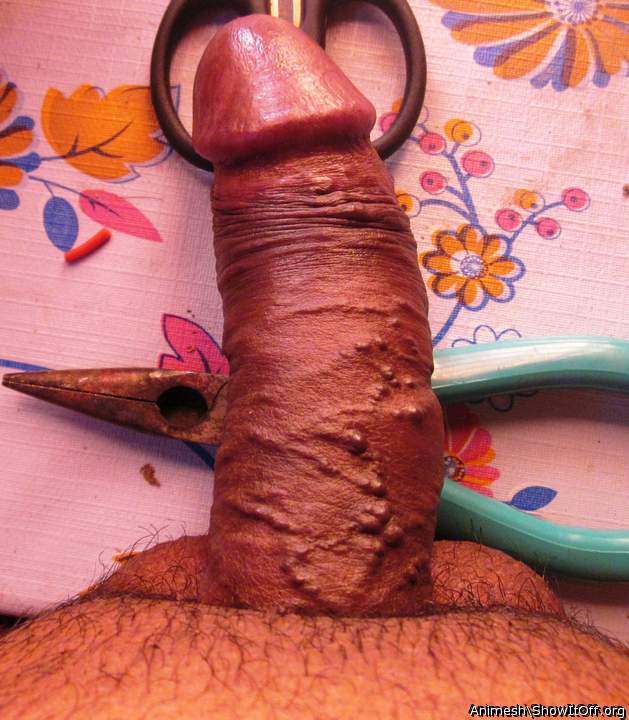 Photo of a snake from Animesh
