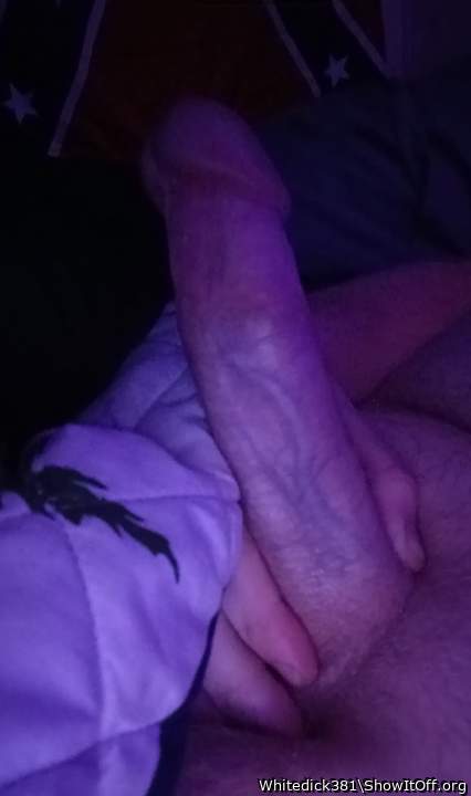 Photo of a short leg from Whitedick381