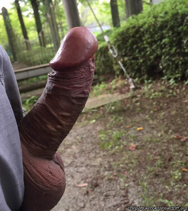 at the park 2