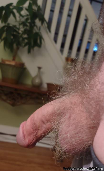    beautiful hairy cock