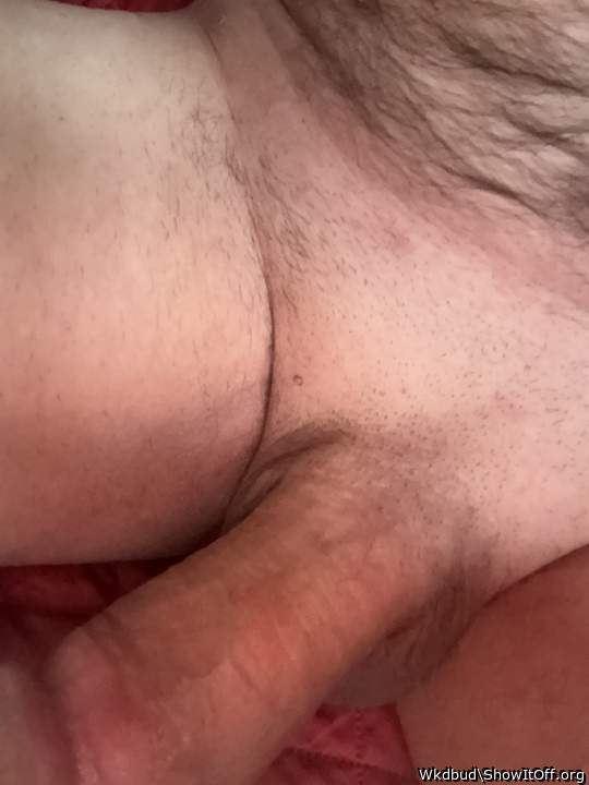 Photo of a ram rod from Wkdbud