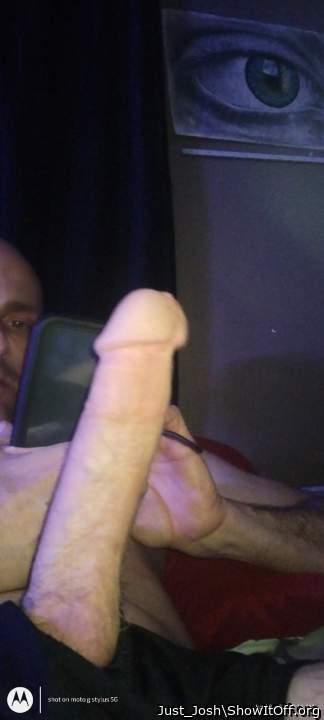 Photo of a weasel from Just_Josh