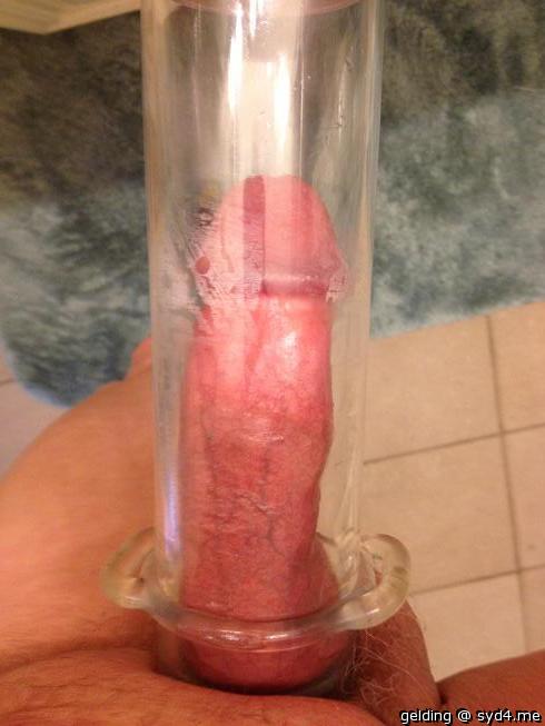 Photo of a horn from gelding