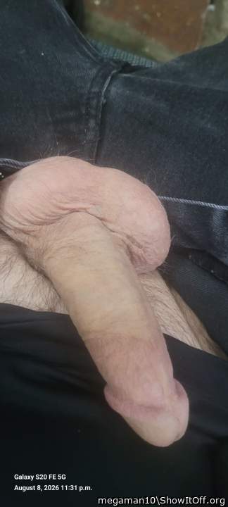 Photo of a sausage from megaman10