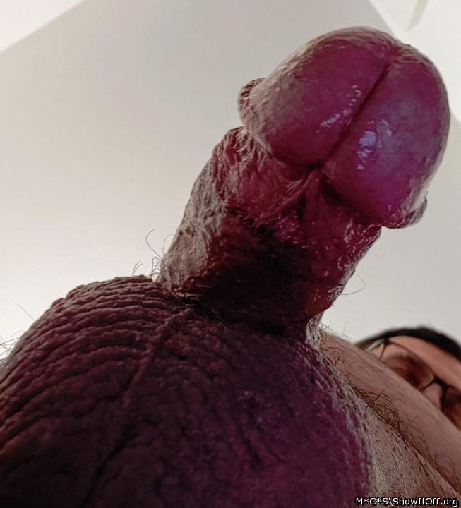 Photo of a hot dog from M*C*S