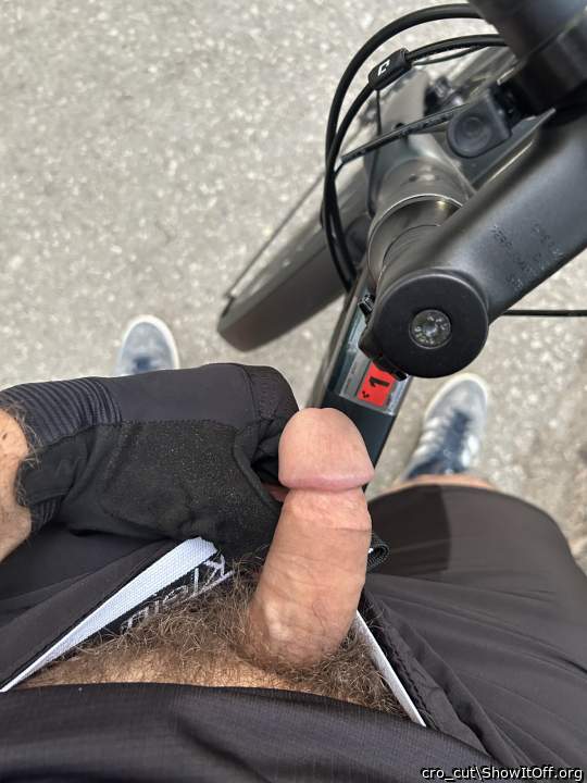 Photo of a cock from cro_cut