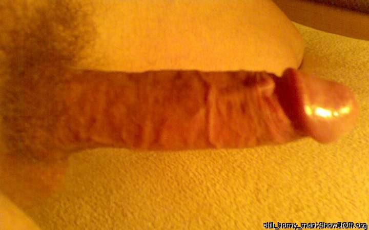 Photo of a rooster from still_horny_man