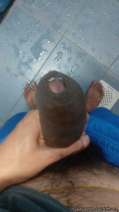Photo of a middle leg from nicedices