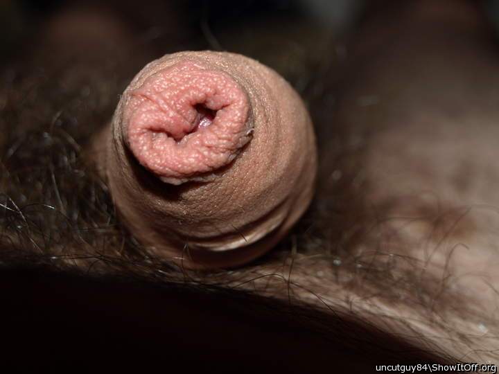 Photo of a horn from uncutguy84