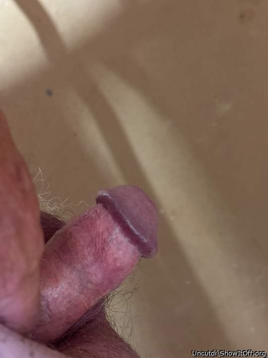 Photo of a equipment from Uncutdi