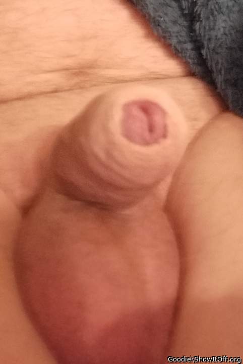 Photo of a horn from Goodie